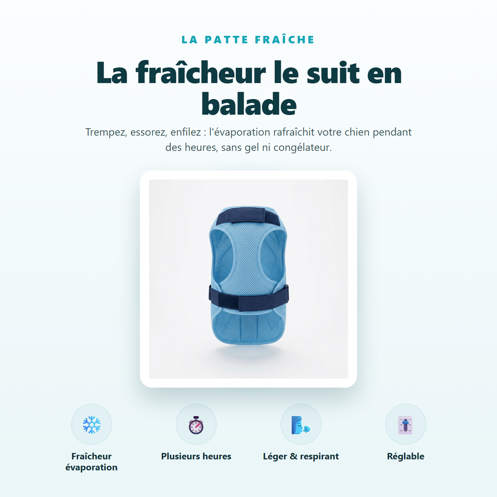 Gilet rafraichissant - la fraicheur le suit en balade