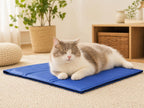 Chat sur tapis