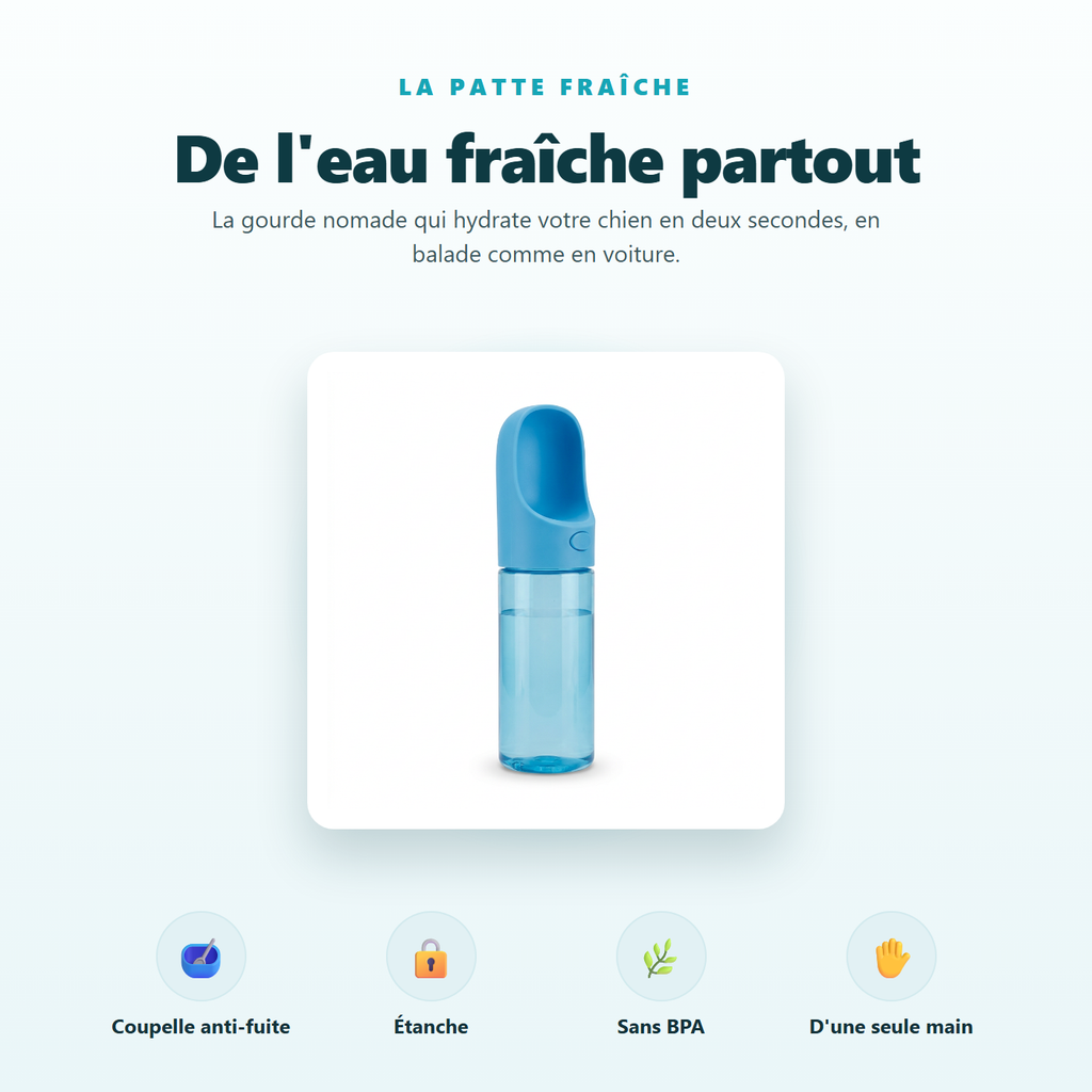 Gourde nomade - de l eau fraiche partout