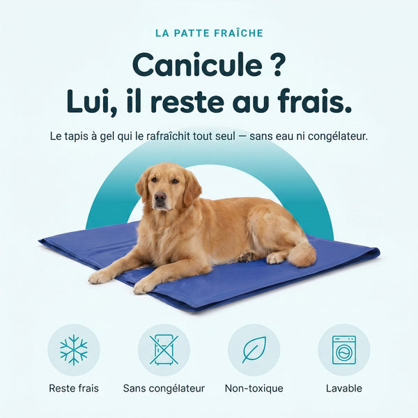 La Patte Fraîche — Tapis Rafraîchissant pour Chien & Chat